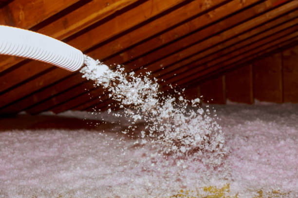 Best Garage Insulation Installation  in Preston, TX