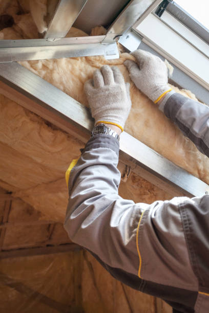 Best Affordable Insulation Services  in Preston, TX