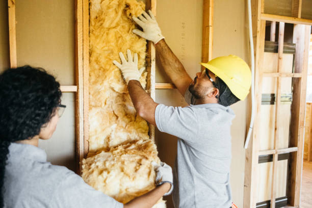 Best Local Insulation Services  in Preston, TX