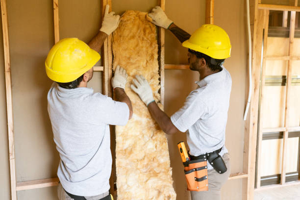 Best Spray Foam Insulation  in Preston, TX