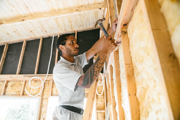 Best Attic Insulation Installation  in Preston, TX