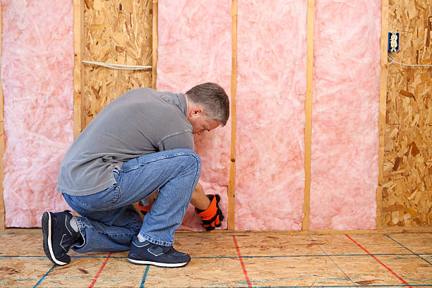 Insulation Contractors for Homes in Preston, TX