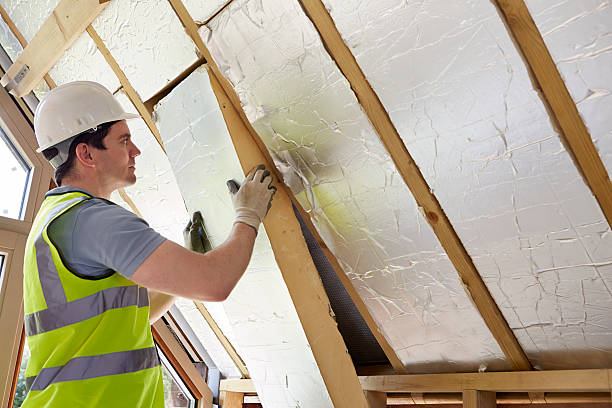 Best Spray Foam Insulation  in Preston, TX