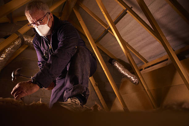 Best Cellulose Insulation  in Preston, TX