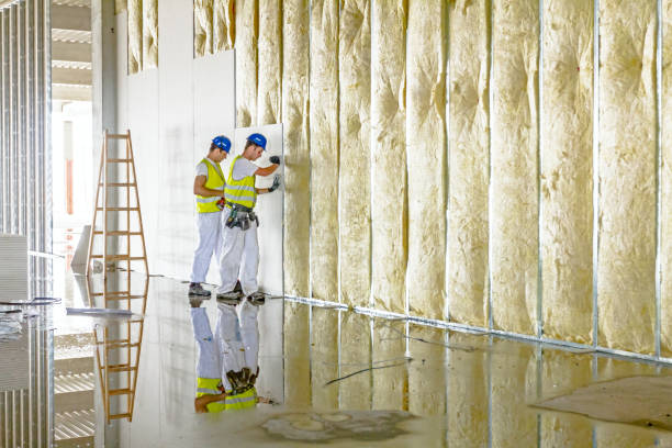 Best Insulation Removal  in Preston, TX
